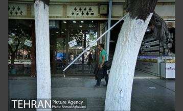 خیابان ناصرخسرو 12