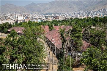 از پادگان تا بوستان 6