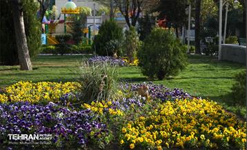 تهران بهاری