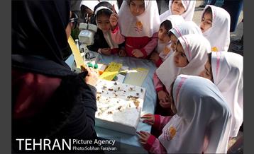 کاشت نهال در بوستان ولایت  2