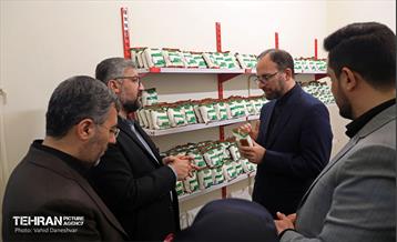 آیین آغاز به‌کار مرکز آموزش، توانمندسازی و اشتغال«پویش شهر» 29