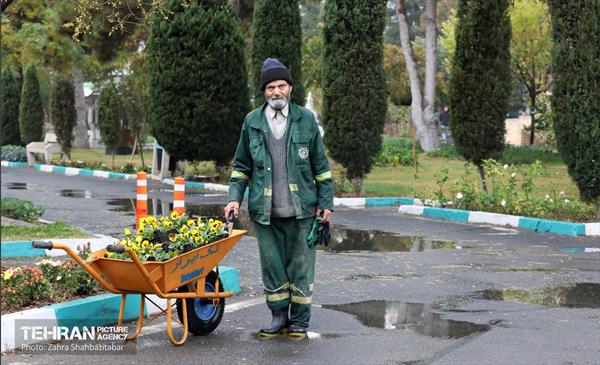 بارش باران پاییزی در تهران 11