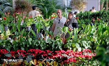 بیستمین نمایشگاه بین‌المللی گل و گیاه 45