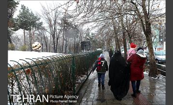 روز برفی بلوار کشاورز 2