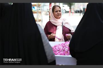 نوزدهمین جشنواره گل و گلاب تهران  11