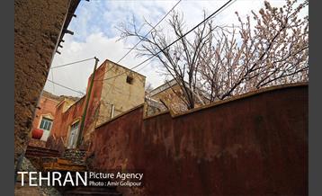 وردیج ، دنیایی از زیبایی 15