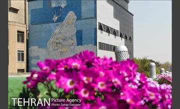 گل آرایی پل سیدخندان 27