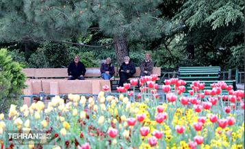 بارش باران بهاری در تهران - 2 42