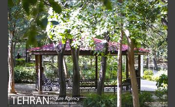 بوستان قیطریه 6
