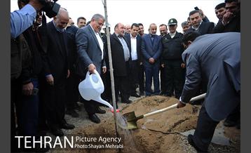 آیین کاشت درخت ایثار و امنیت 25