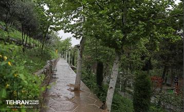 بارش باران بهاری در تهران - 2 7