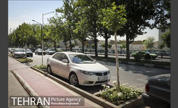 پارک خودرو‌ بین درختان چنار 5