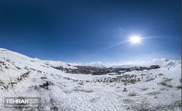 حیات وحش تهران  1