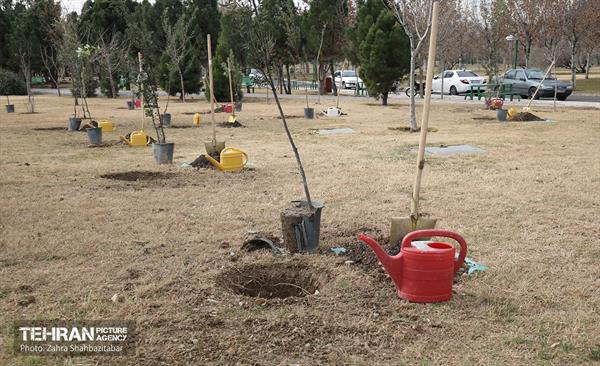 آیین پدران آسمانی  20