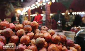 جشنواره انار در بوستان آب و آتش  13
