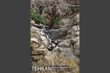وردیج ، دنیایی از زیبایی 7