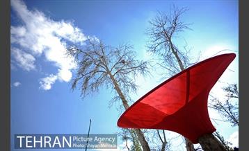 اکران هنرهای محیطی نوروزی در سطح شهر  10