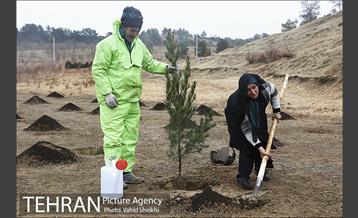 آغاز عملیات اجرایی نهضت درختکاری پردیس گردشگری 17