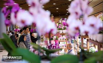 نوزدهمین نمایشگاه گل و گیاه تهران 21