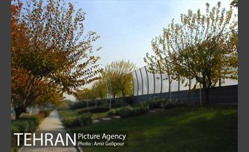 شهرک لاله 16