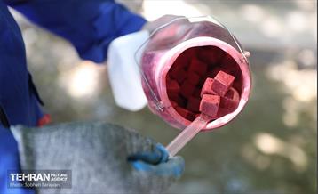 مبارزه با جانوران موذی 14