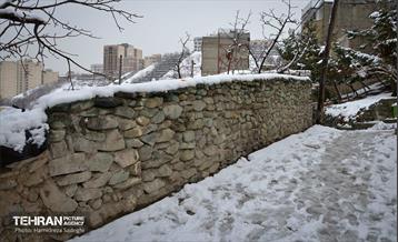 درکه پس از بارش برف  11