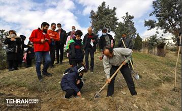 آیین کاشت گیاهان بومی پایتخت در برج میلاد 3