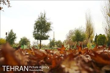 پاییز در بوستان رازی 10