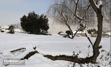 تهران برفی از نمای برج میلاد 7