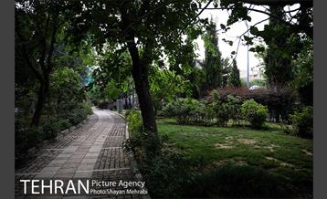 بوستان باغ حکیم 21