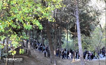 همایش‌ پیاده‌روی خانوادگی کارکنان شهرداری تهران 36