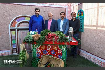 نخستین جشنواره سبزی در منطقه 18 5