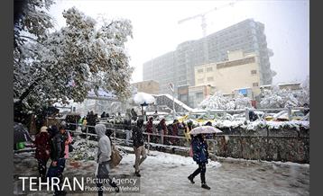 بارش برف در تجریش 26