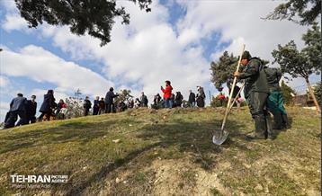 آیین کاشت گیاهان بومی پایتخت در برج میلاد 1