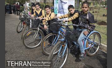 درختکاری و لانه گذاری کبوتر در بوستان بعثت 10