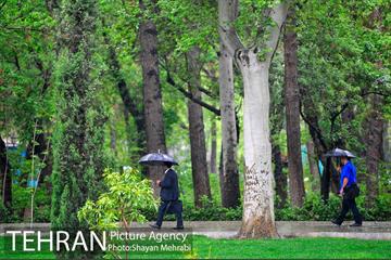باران بهاری در تهران - 2 5