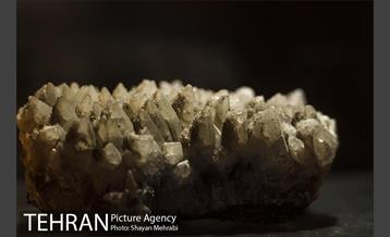 موزه علوم زمین 36