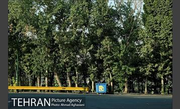 پارک جنگلی چیتگر 20