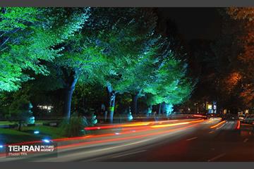 زیبا‌شهر من (3) 8