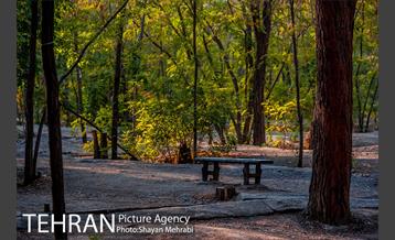 بوستان جنگلی چیتگر 23