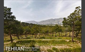 پارک چیتگر 14