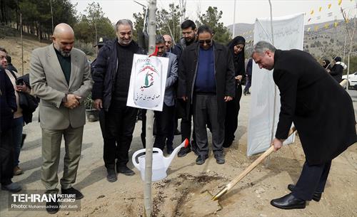 جشن درختکاری در منطقه ۵ 6