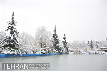 روز برفی تهران در بوستان ملت 12