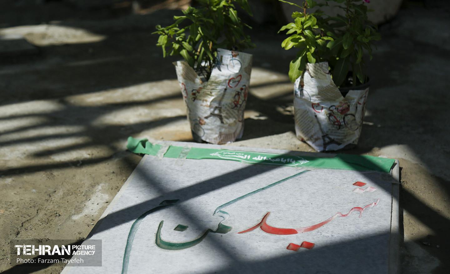 لاله های سرخ منطقه  5 به مناسبت هفته دفاع مقدس  28