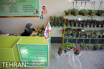 طرح گلماند در منطقه 18