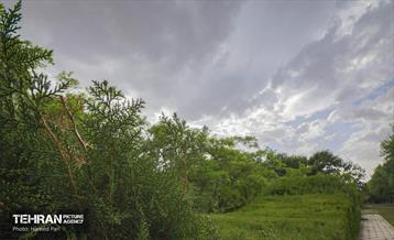 طبیعت بهاری در باغ گیاهشناسی ملی ایران 2