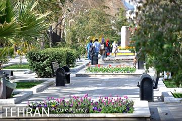 رویش گل های لاله در پارک ملت 21