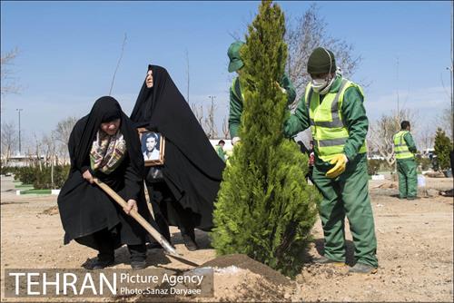 آیین کاشت "درخت ایثار" 31