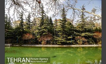 بوستان گفتگو 22