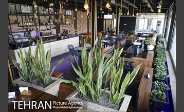 مرکز گل و گیاه ایوار 22